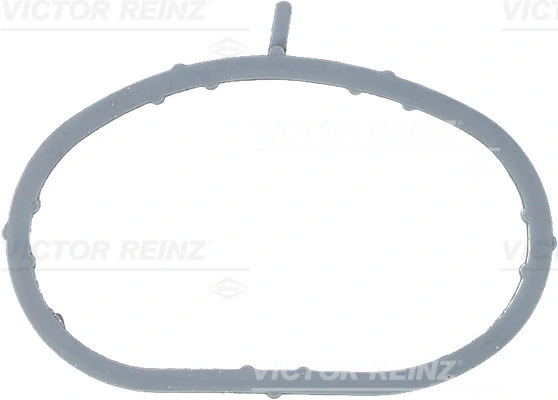 Gasket, intake manifold